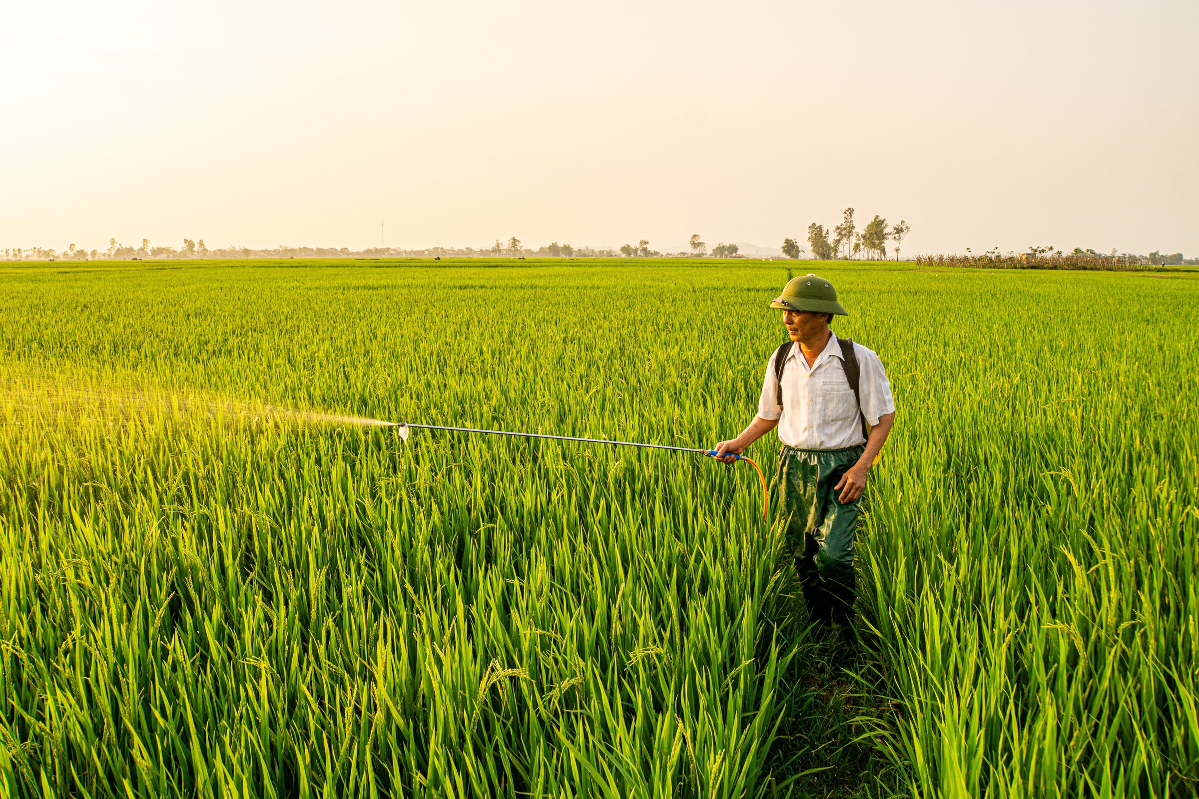 Risques Agricoles